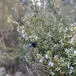 Domaine Des Sens - 20 Couchages Insolites *